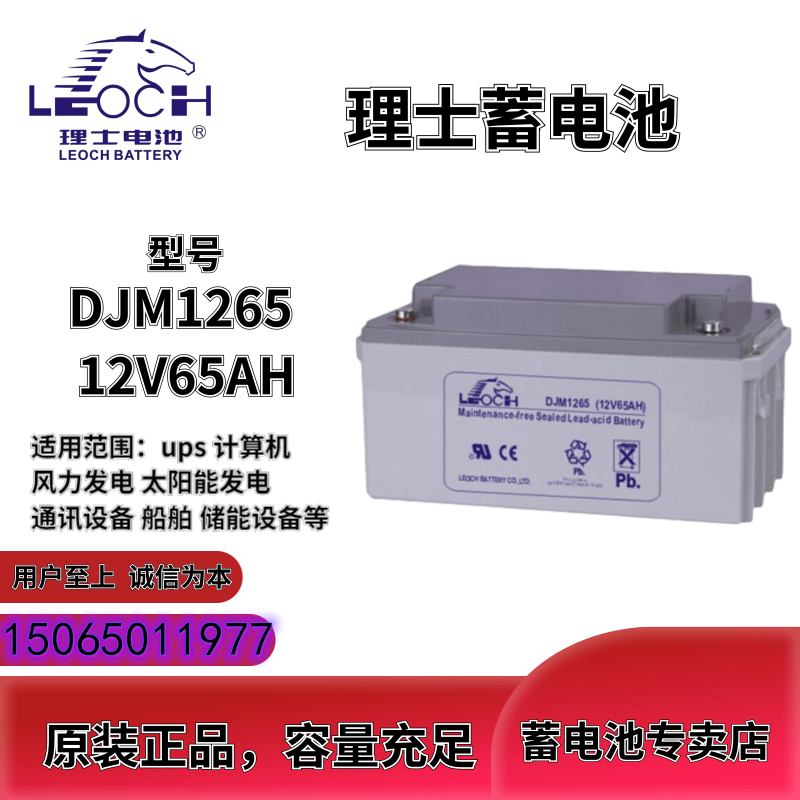 LEOCH理士蓄电池12V65AH DJM12-65S 